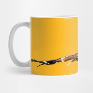 Flying Kookaburra Mug